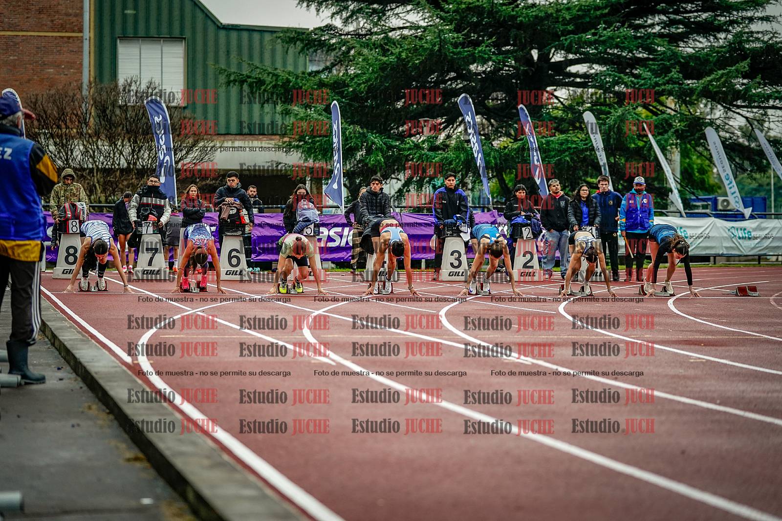 Fotos de los 100 m llanos de mujeres