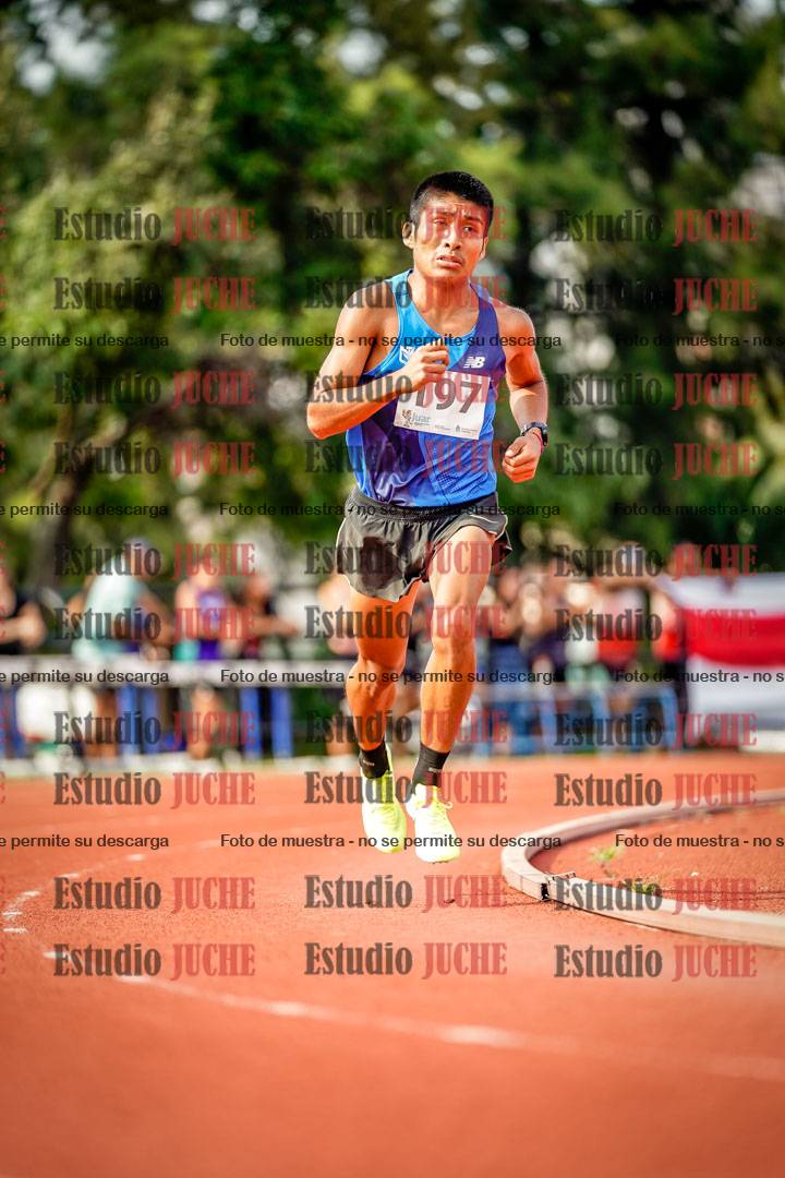 Fotos de los 3000 m llanos de varones