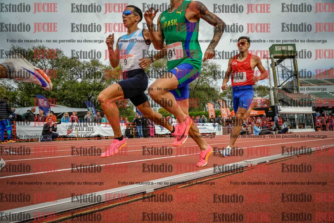 Fotos de los 800 m llanos de varones - FINAL