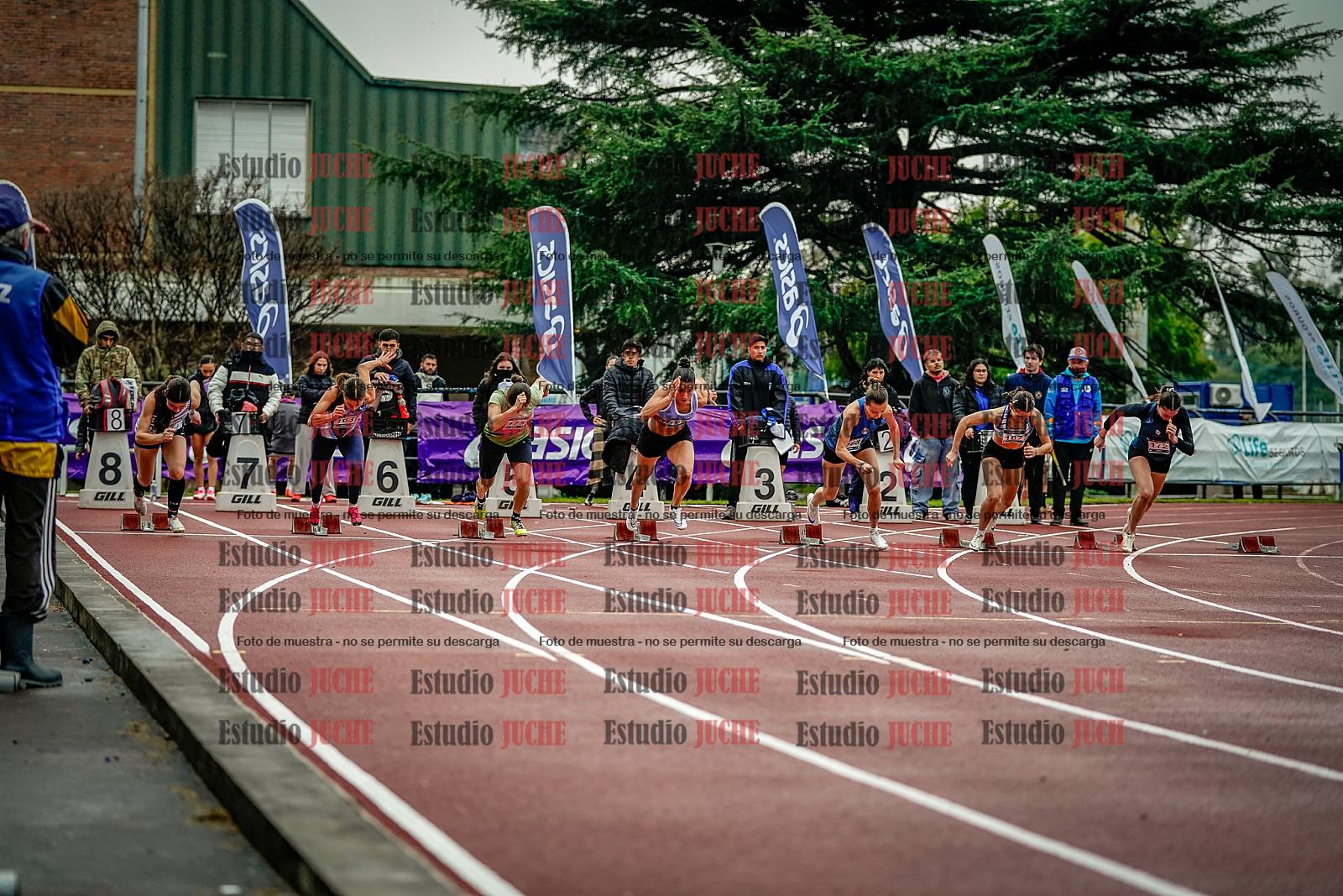 Fotos de los 100 m llanos de mujeres