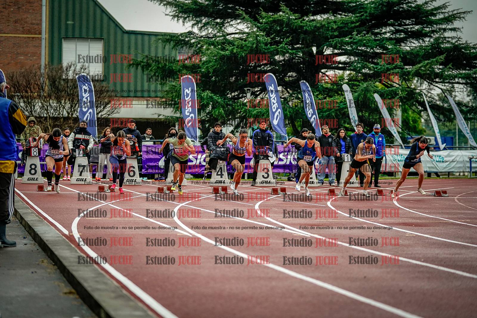 Fotos de los 100 m llanos de mujeres