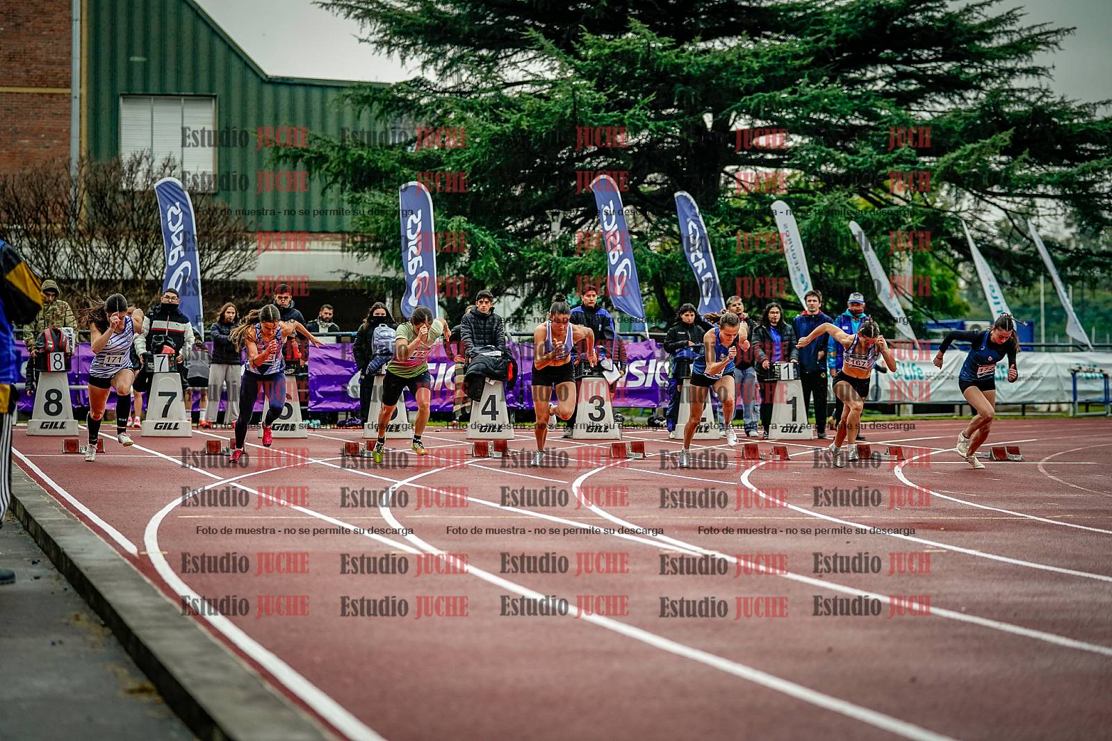 Fotos de los 100 m llanos de mujeres