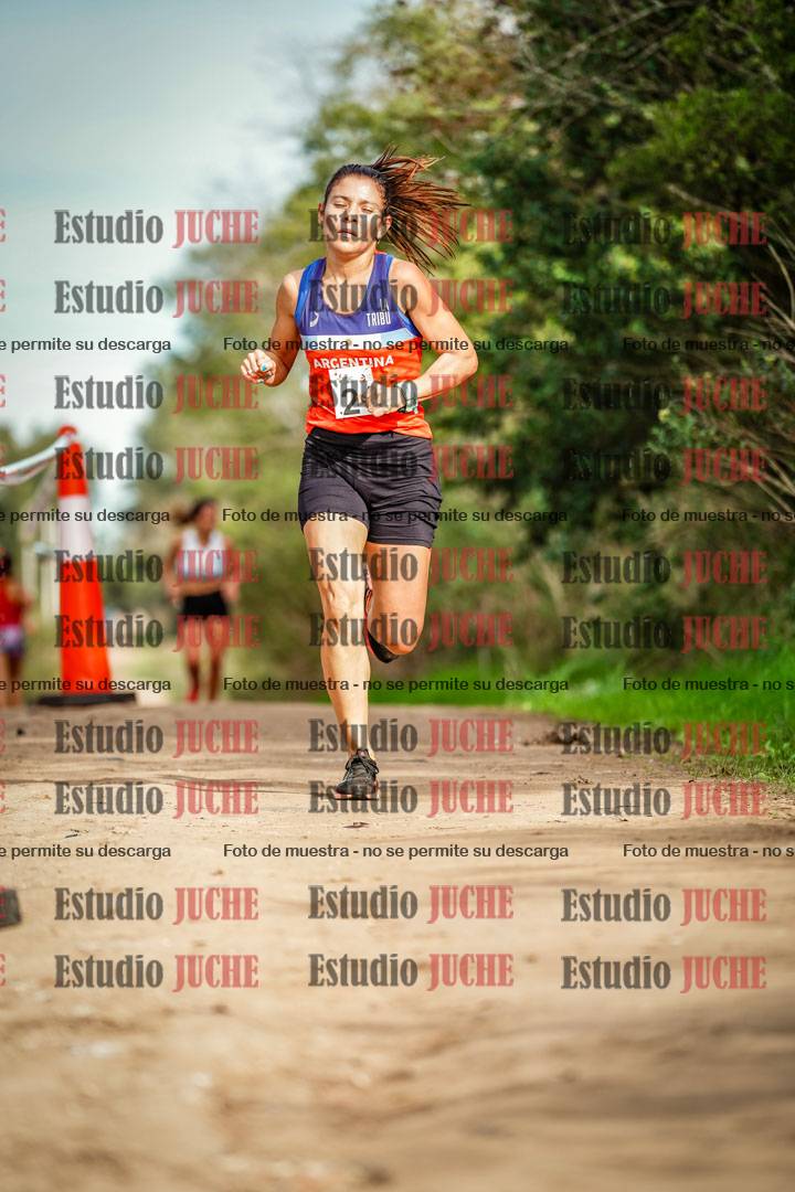 Fotos en el circuito