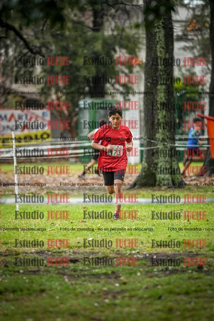Fotos en el circuito