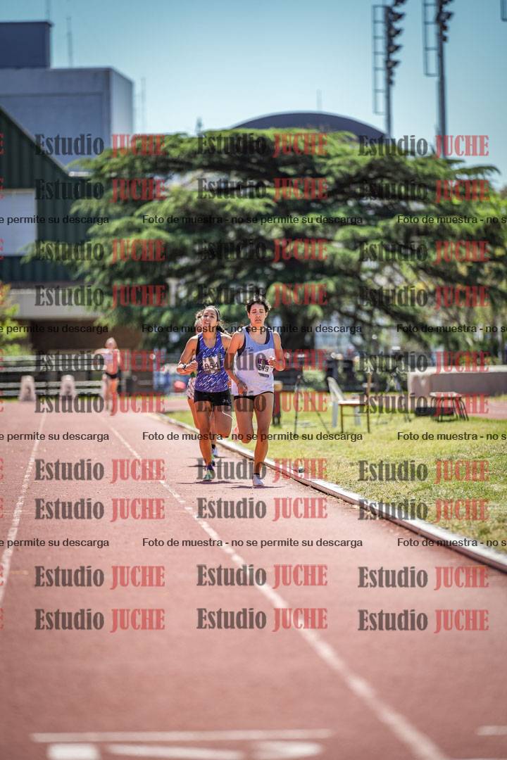 Fotos de los 800 m llanos de mujeres