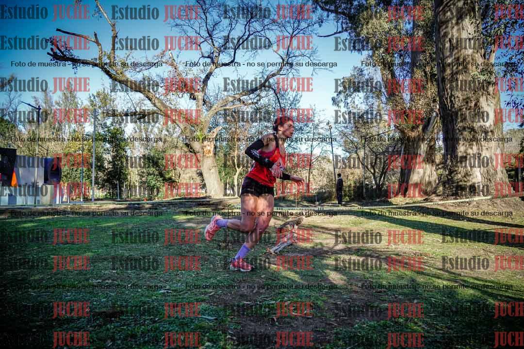 Fotos en el quinto punto del circuito