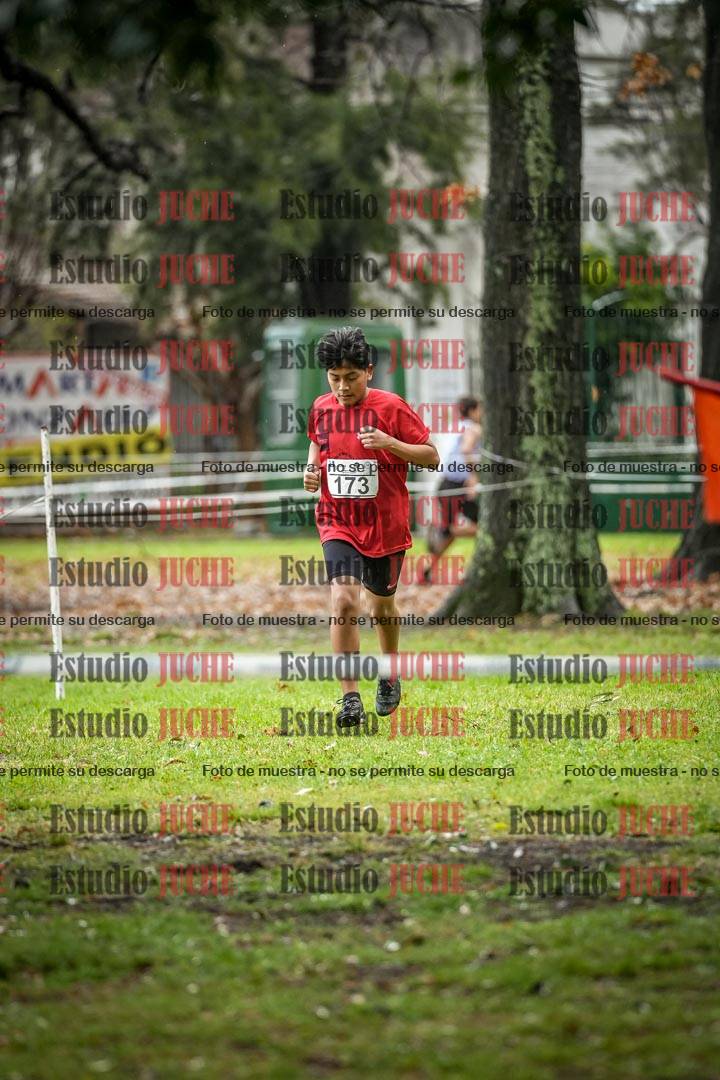 Fotos en el circuito