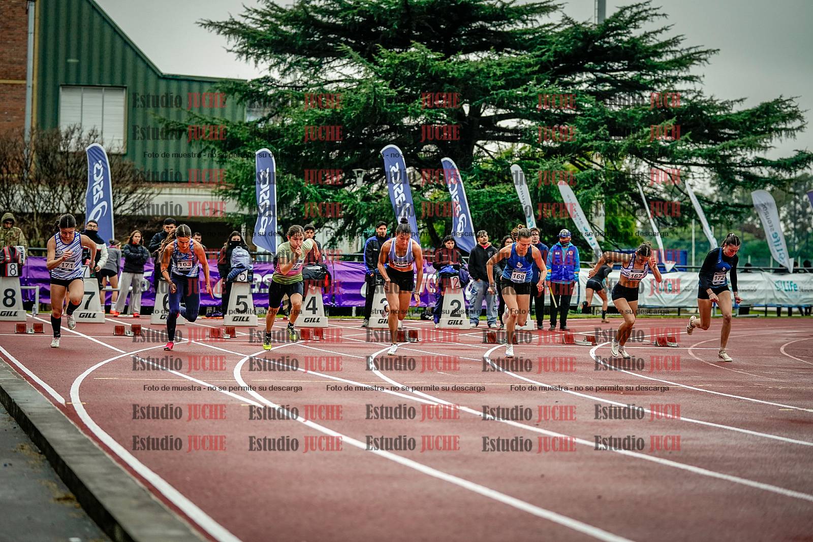 Fotos de los 100 m llanos de mujeres