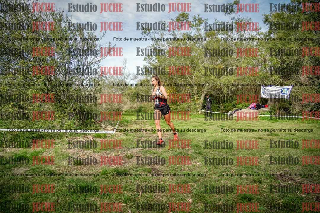 Fotos en el circuito