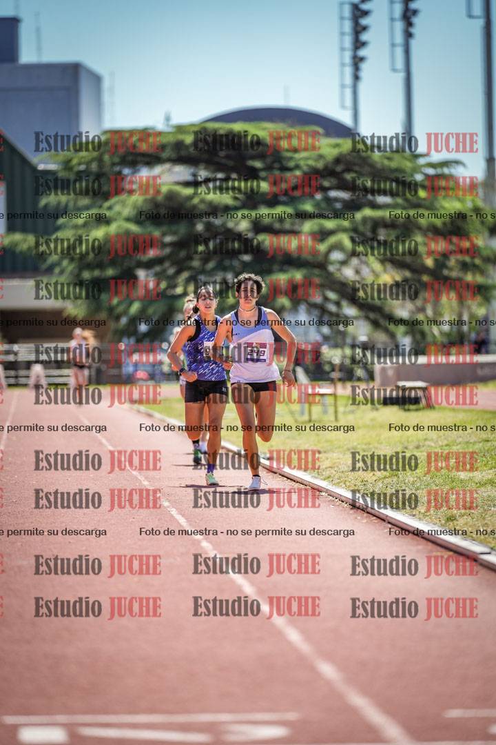 Fotos de los 800 m llanos de mujeres