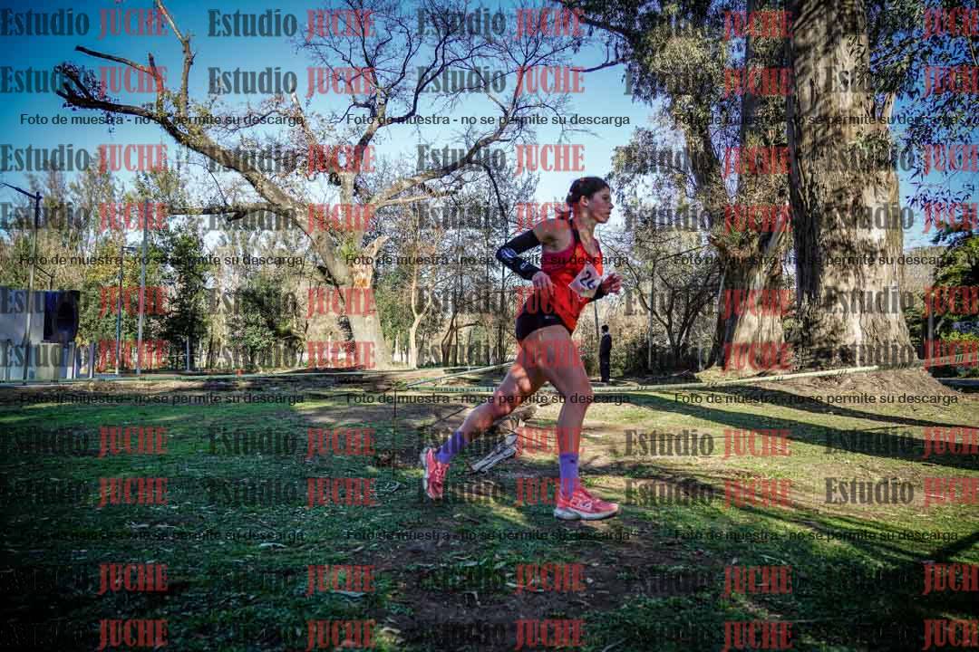 Fotos en el quinto punto del circuito