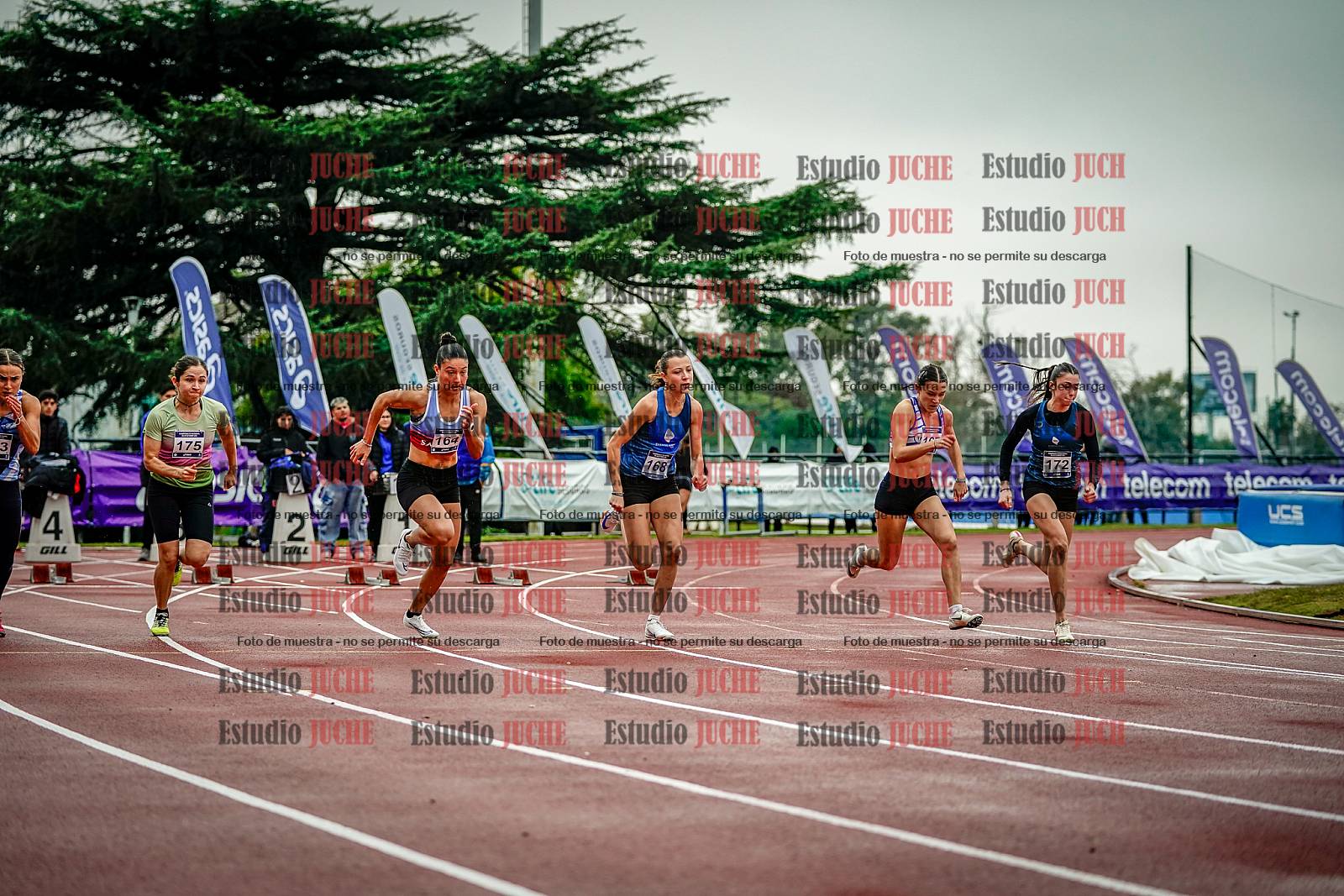 Fotos de los 100 m llanos de mujeres
