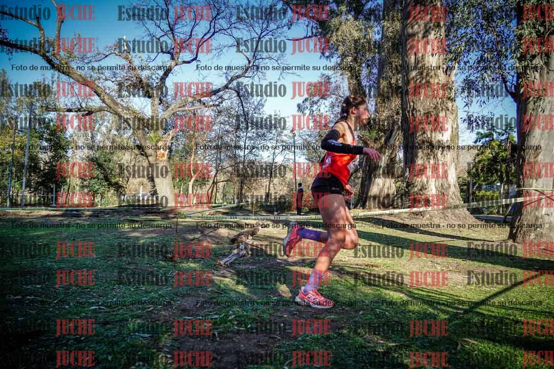 Fotos en el quinto punto del circuito