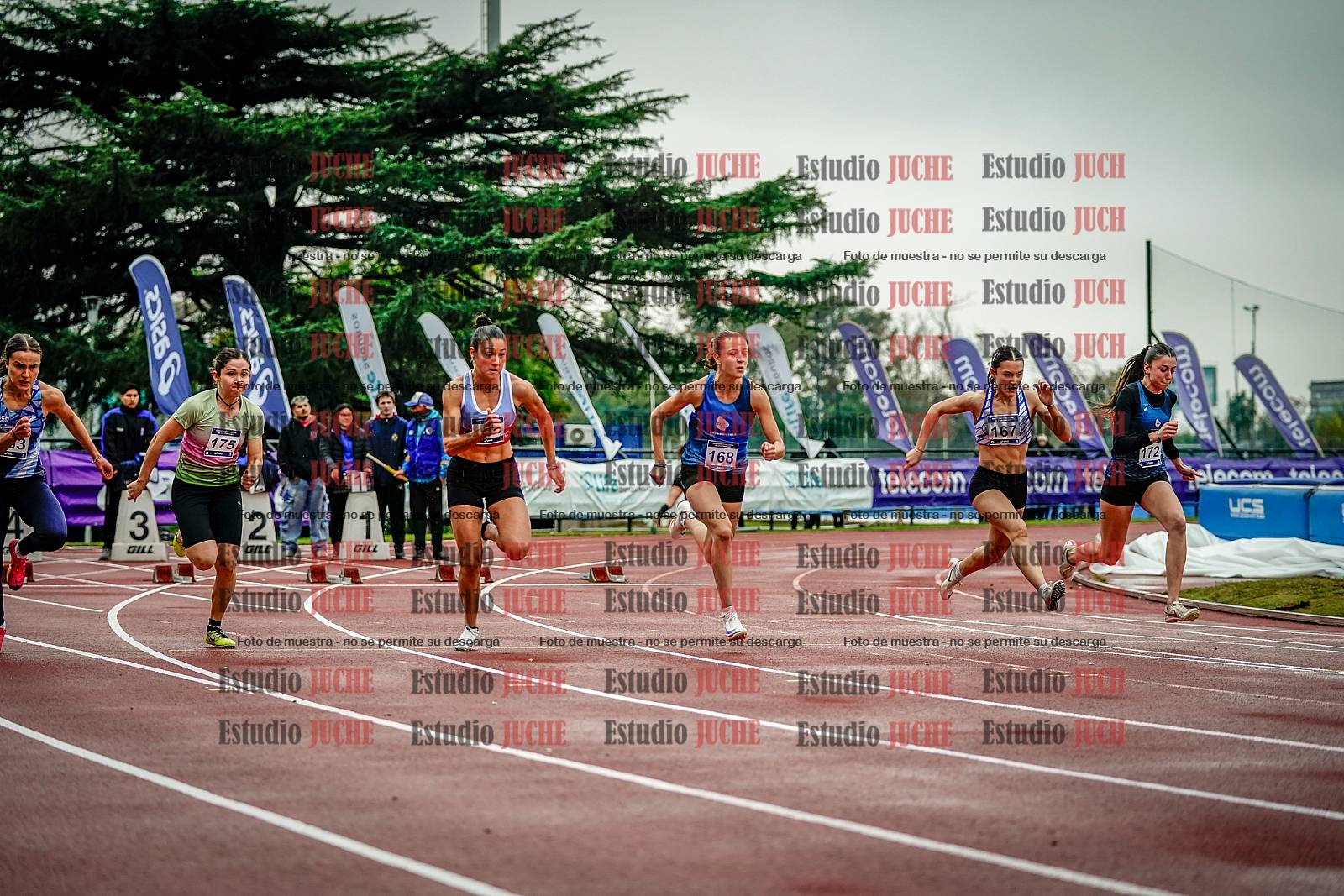 Fotos de los 100 m llanos de mujeres