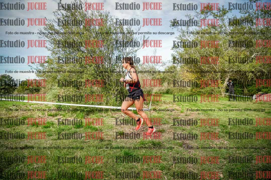 Fotos en el circuito
