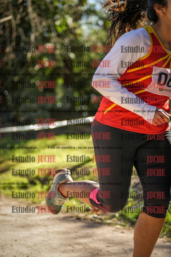 Fotos en el cuarto punto del circuito