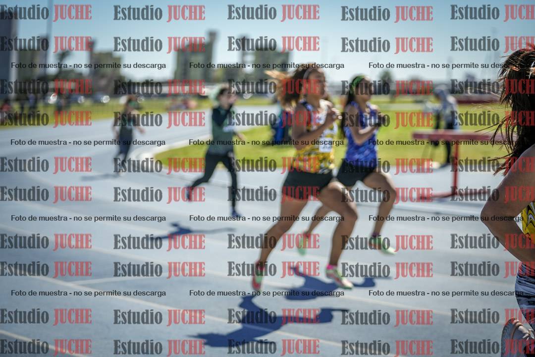 Fotos de los 800 m llanos de mujeres