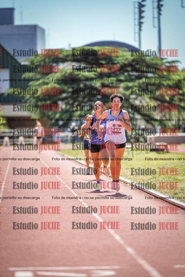 Fotos de los 800 m llanos de mujeres