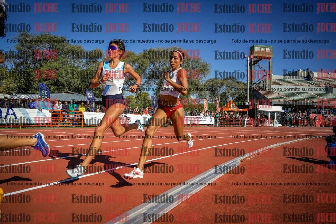 Fotos de los 800 m llanos de mujeres