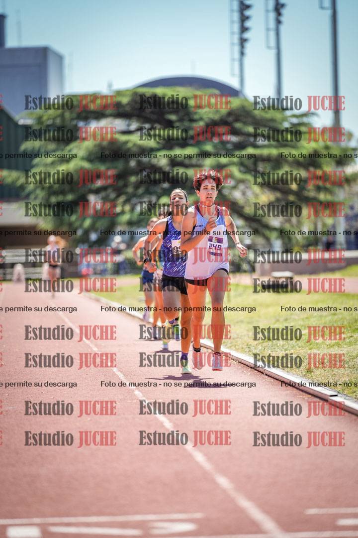 Fotos de los 800 m llanos de mujeres