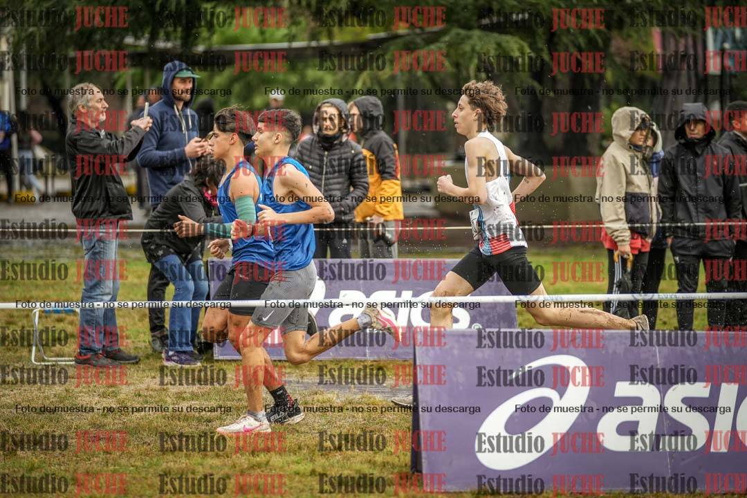 Fotos en el circuito