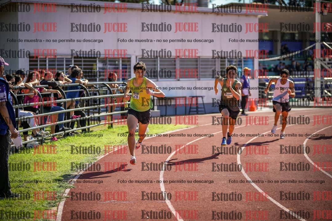 Fotos de los 800 m llanos de varones