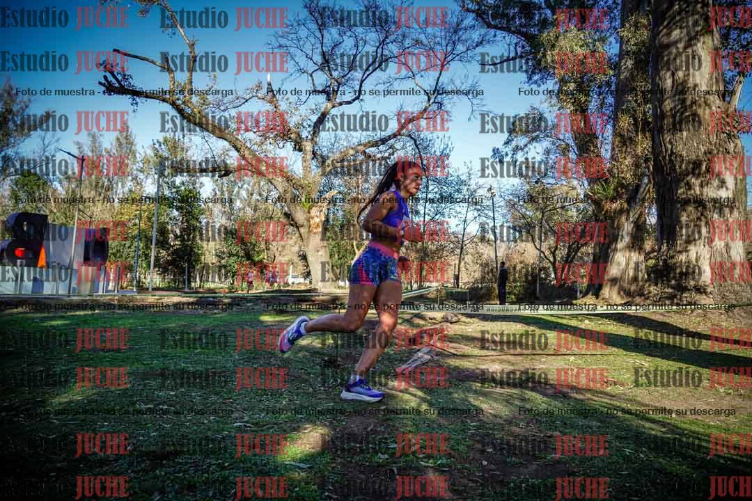 Fotos en el quinto punto del circuito