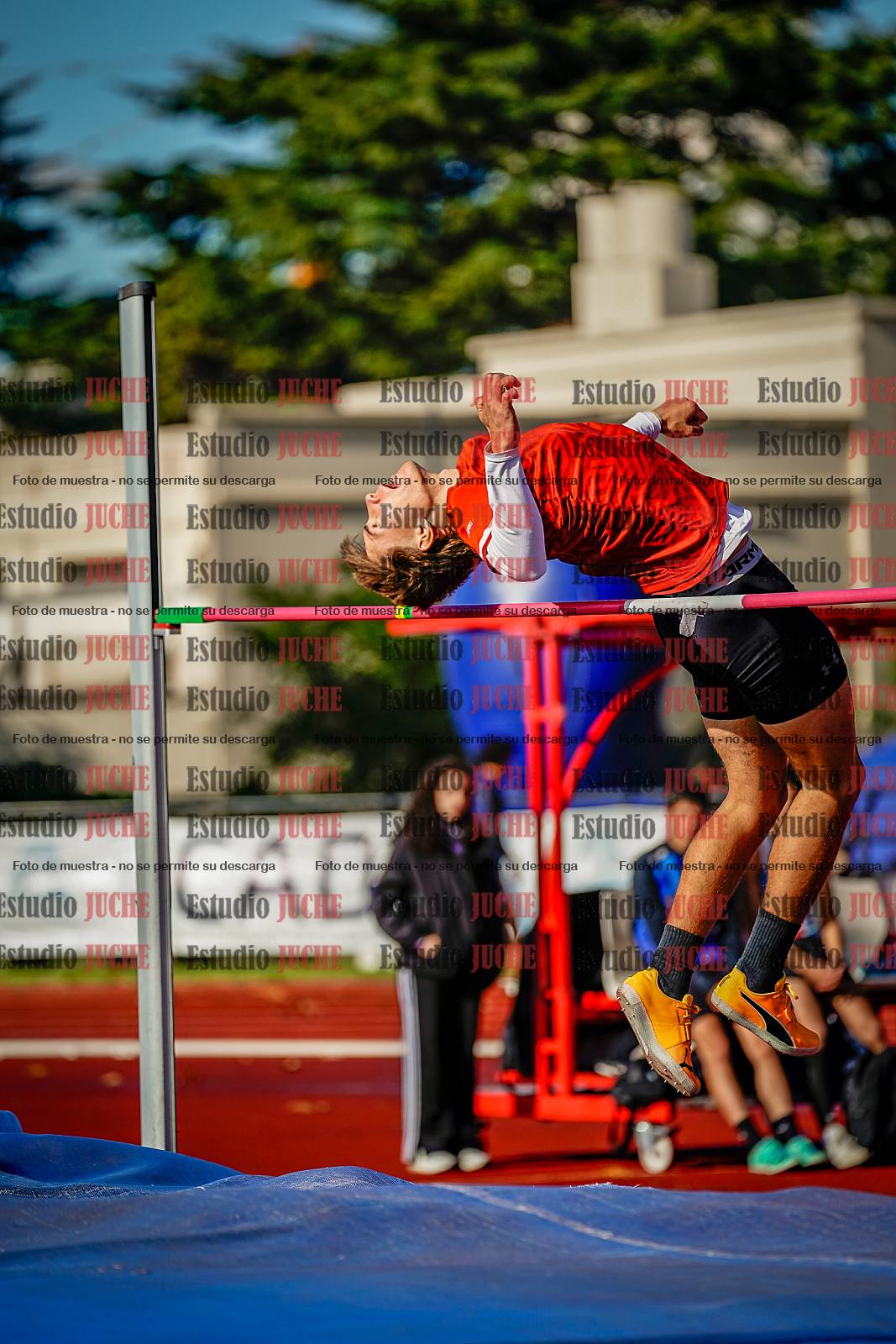 Fotos del salto en alto de varones