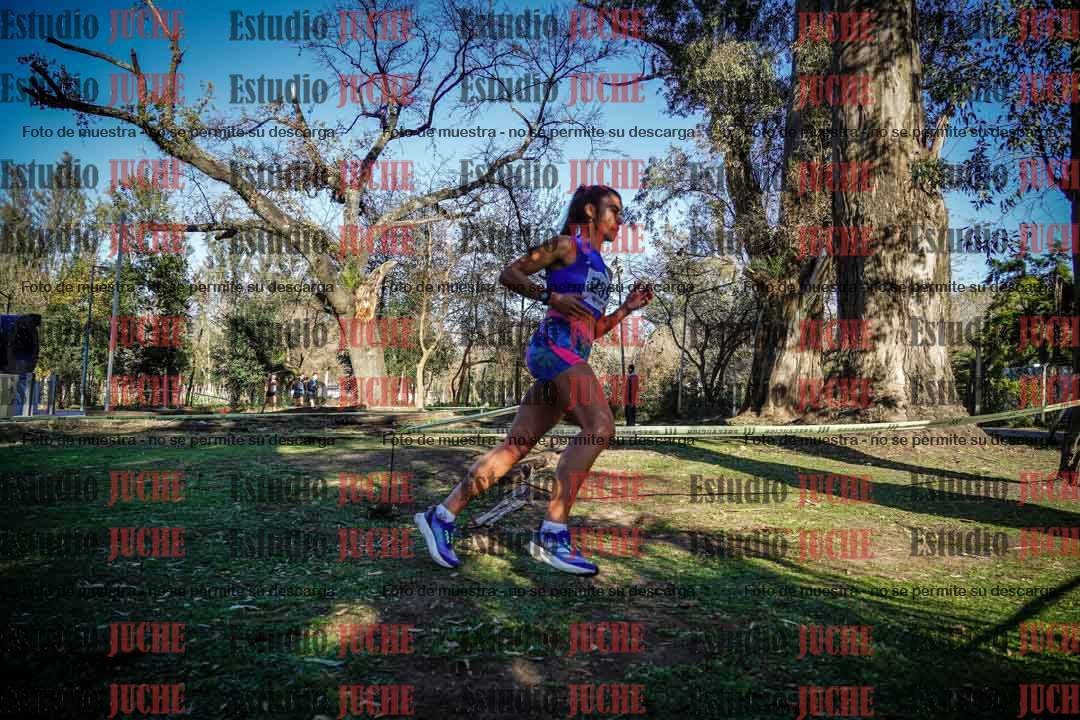 Fotos en el quinto punto del circuito