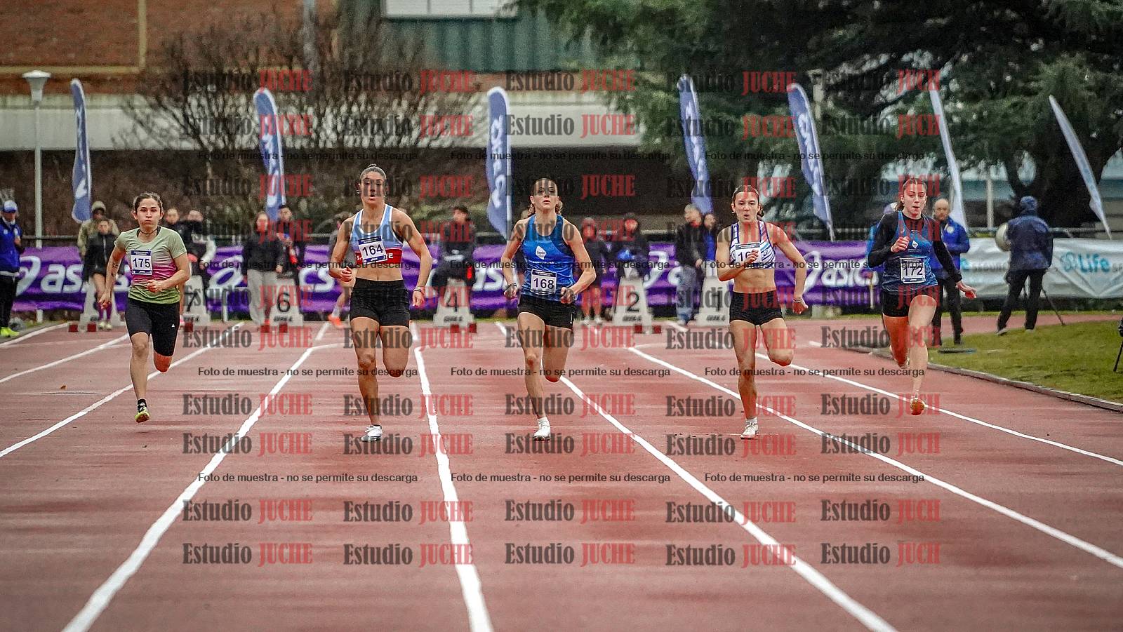 Fotos de los 100 m llanos de mujeres