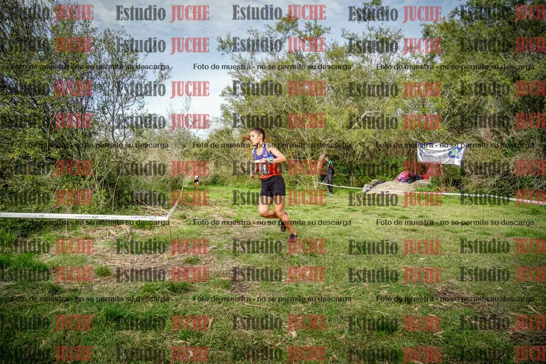 Fotos en el circuito