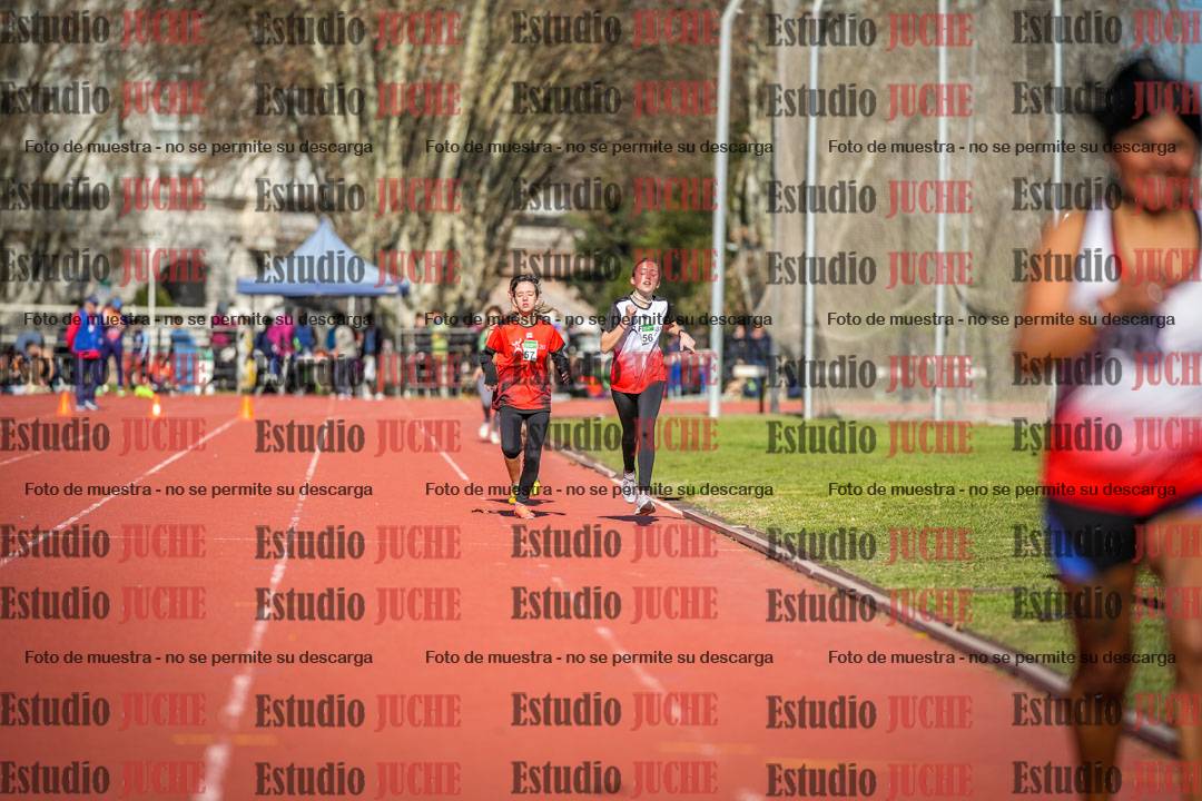 Fotos de los 800 m llanos de mujeres