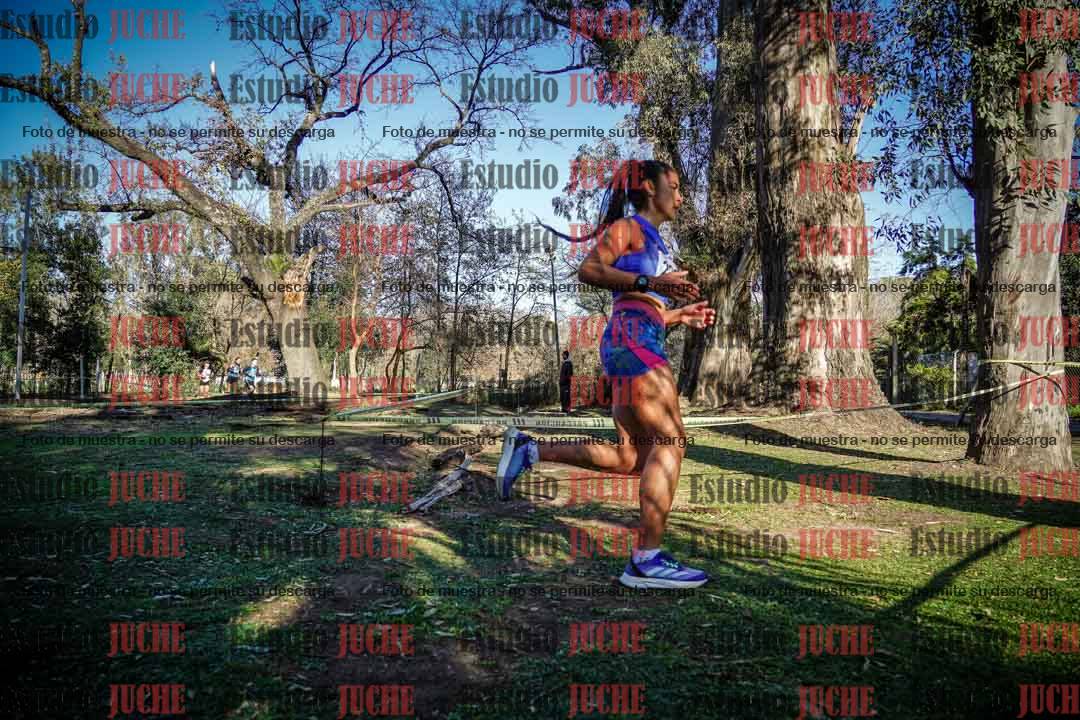 Fotos en el quinto punto del circuito