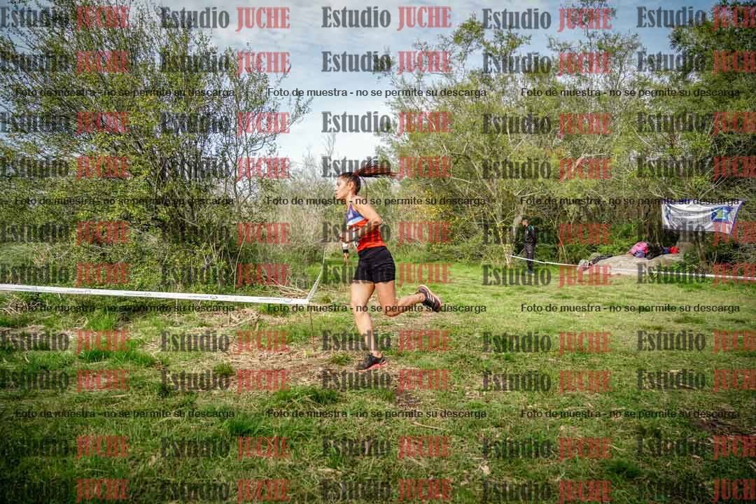 Fotos en el circuito