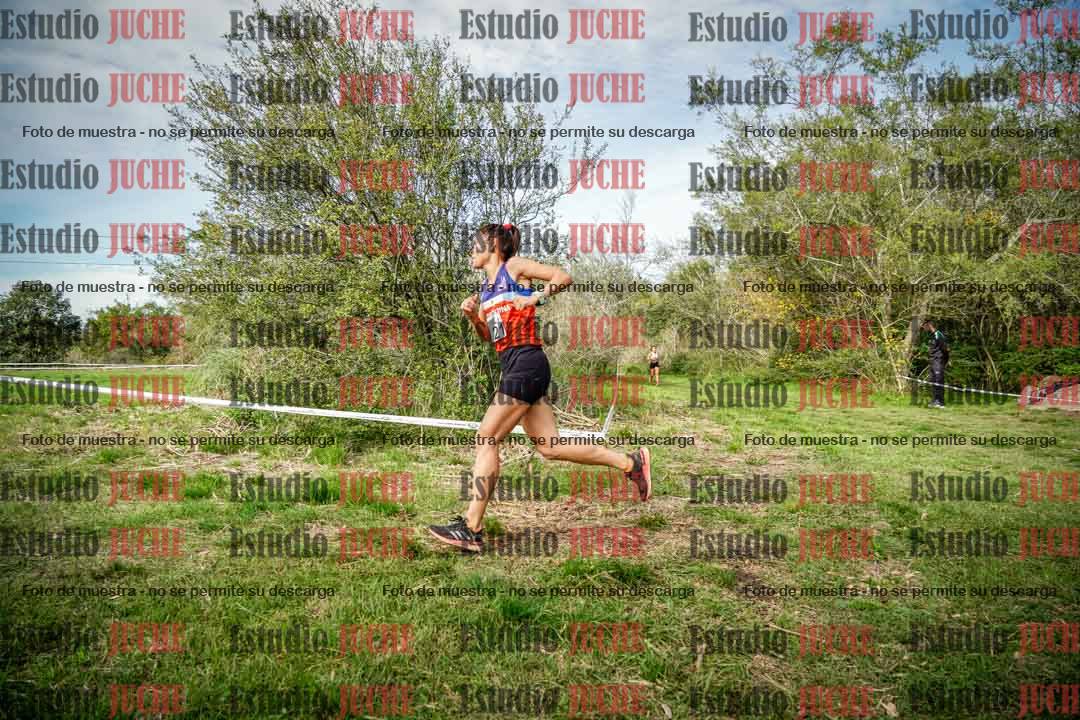 Fotos en el circuito