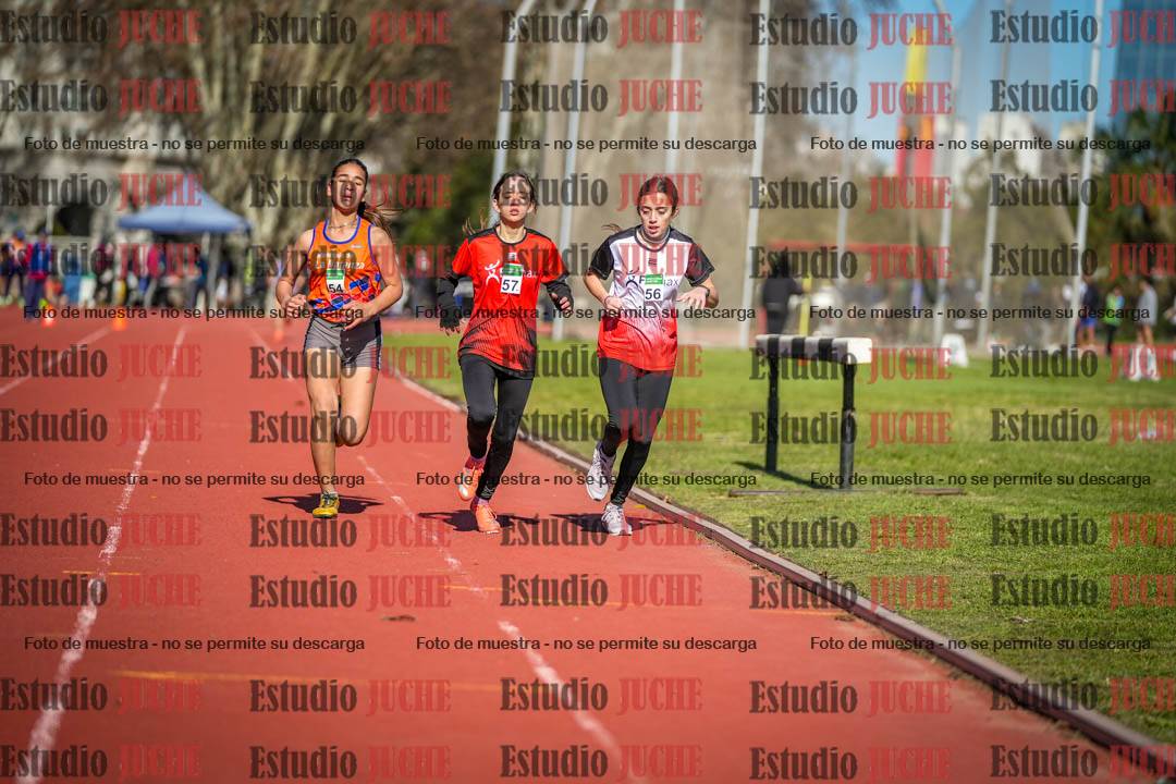 Fotos de los 800 m llanos de mujeres
