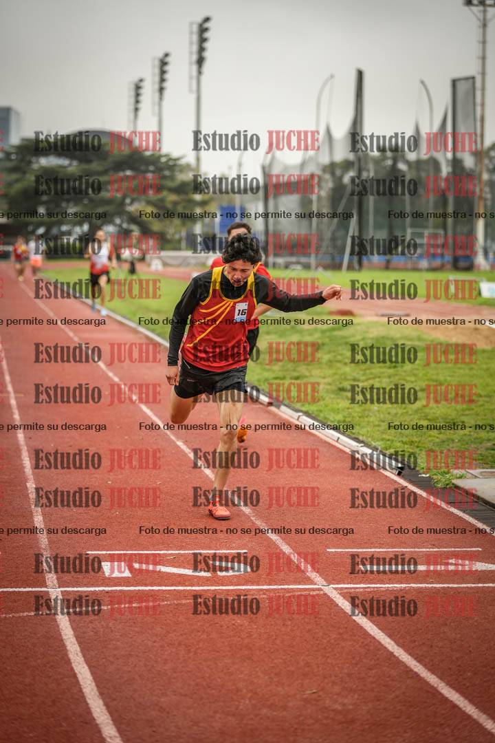 Fotos de los 800 m llanos de varones