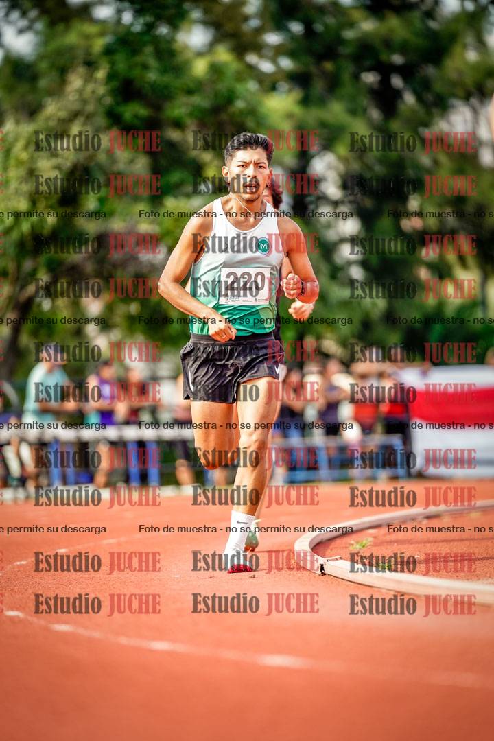 Fotos de los 3000 m llanos de varones