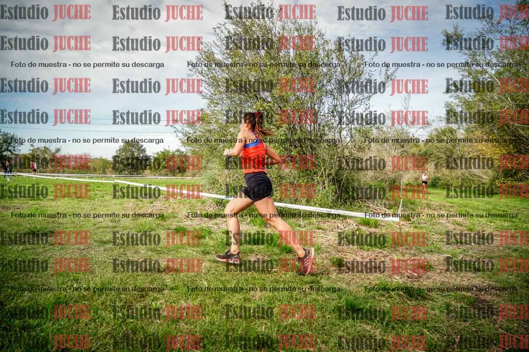 Fotos en el circuito