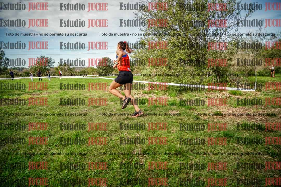 Fotos en el circuito