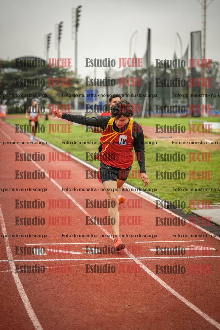 Fotos de los 800 m llanos de varones