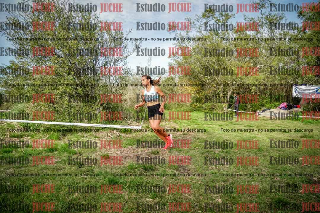 Fotos en el circuito
