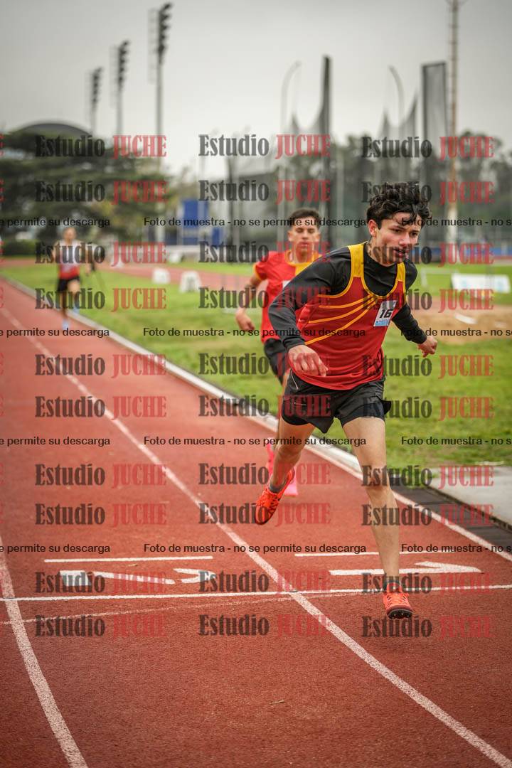 Fotos de los 800 m llanos de varones