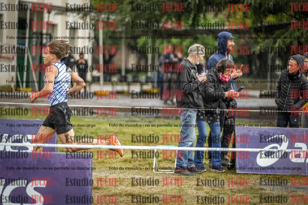 Fotos en el circuito