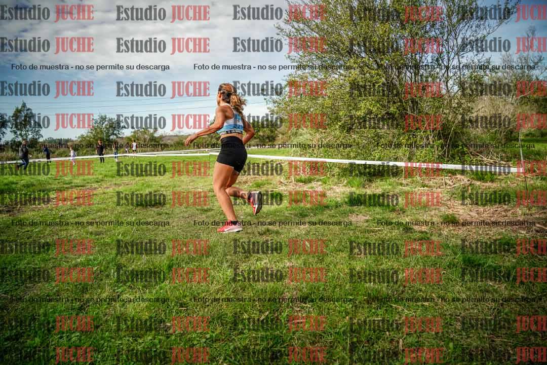 Fotos en el circuito