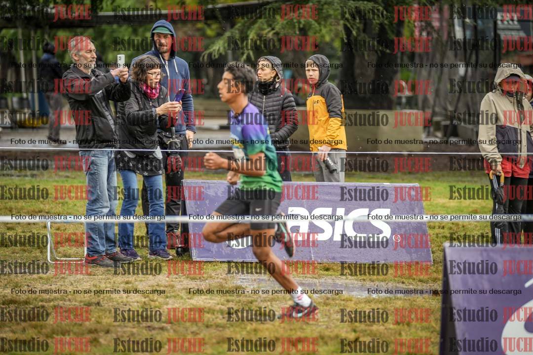 Fotos en el circuito