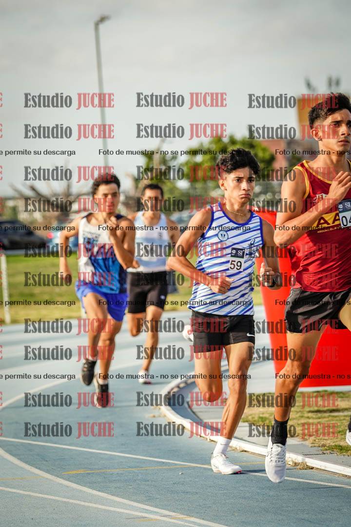 Fotos de los 800 m llanos de varones