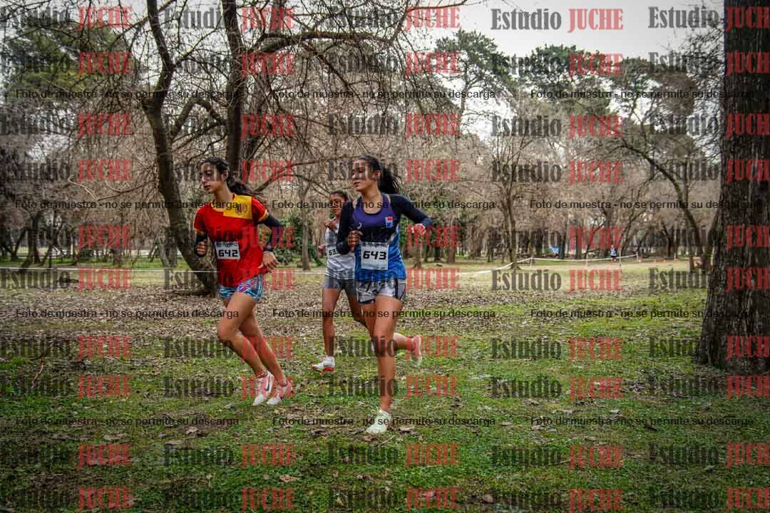 Fotos en el circuito