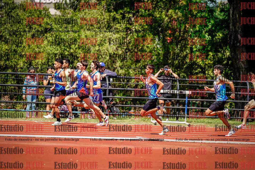 Fotos de los 800 m llanos de varones