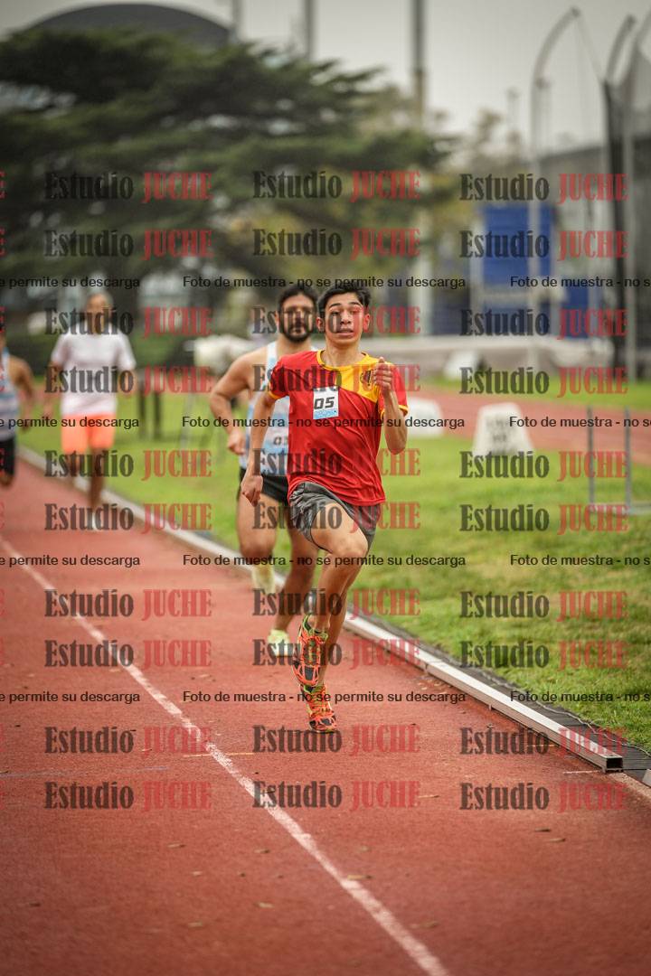 Fotos de los 800 m llanos de varones